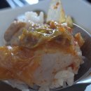 고향생돼지 이미지