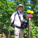 용담호보이는길 이미지