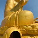 낙성농장 이미지