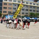 삼우그린 이미지