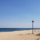 바다정원 이미지