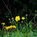 길소아청소년과의원 이미지