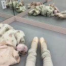 스마트샵 | 대전 이발레샵 첫 토슈즈 피팅 및 구매 후기(그리쉬코 스마트포인트)