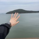 오투펜션 | 서해 태안 낚시펜션 추천 놀거리 천국 오투오션펜션 내돈내산 방문후기 추천