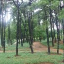 정자공원 이미지