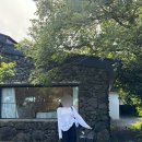 제주스테이 이미지