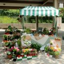 김영섭 농장 이미지