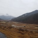 금호강1 이미지