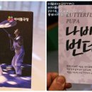 종로-종로-종로-종-250 이미지