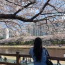 인쌩맥주부산온천천점 | 151. 2025/04/06 일상, 아침 헬스 다녀와서 온천천가서 벚꽃구경하고 인쌩맥주에서 가볍게(?) 즐기는 낮맥