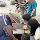 주식회사귀뚜라미 | [공지] [참가후기]2025 고양시 사회적경제 페스타, 곤충킹과 함께한 사회적가치 확산의 시간