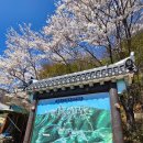 충청남도 도립도서관 화장실 | 대둔산 도립공원 등산후기, 전북 완주군(26년 4월 8일/수)