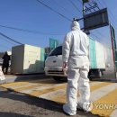 용인양계 이미지