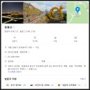 가시리 여의도점 | 3월. 걷기 좋은 '봄꽃' 산책 명소 소개합니다.