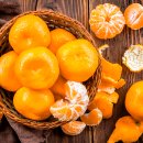 청춘헬스 이미지