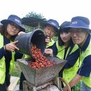 김봉태농장 이미지