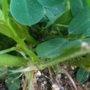 병걸농장 이미지