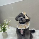 몽아뜨 이미지