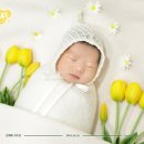 메디아이스튜디오