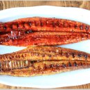 장어독립 이미지