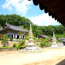 용문사성보유물관 이미지