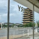 복합목장 | 경주보문단지카페 '천군복합문화공간x에브리블랙' 상하목장 아이스크림 소금빵 후기