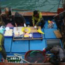 흑산도홍어회 이미지