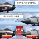 날틀