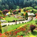 라고스테마 이미지