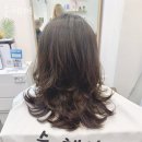 527 | 다산동미용실 순헤어 위치 업체정보