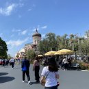 빅월드 번역행정사 | 14개월 아기와 함께한 도쿄 디즈니랜드, 30대 부부의 완벽 가이드