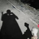 이코그루밍 이미지