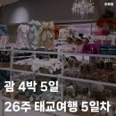 조이너 | [26주 태교여행] 4박 5일 괌 5일차 | 조이너스테야끼 철판, JP Superstore, 애착인형, 젤리캣, 호놀룰루...