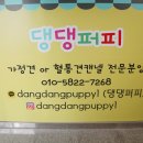 댕댕월드&퍼피 이미지