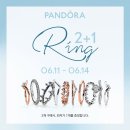 판도라 카카오 검색결과