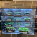 광주네집 이미지