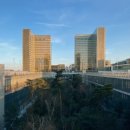 이화ECC안경 이미지