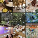 크로스핏 한옥(중화산센터) | 2024년 회고 | 웰니스 스타트업 브랜드 매니저