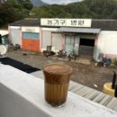 카페귀촌 | 가을명소 창녕 만년교(주차,개화,사진팁) 및 커피맛집 ‘카페귀촌’ 추천후기