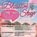 펫D.C마트 | 비발디파크 소노벨A 숙소 후기 벚꽃축제 ‘봄봄’ 완벽 타이밍