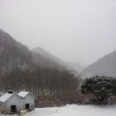 장미자농장 이미지