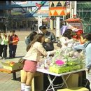 가온미르 이미지