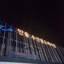 안동 활어회포장 안동수산물도매시장 광어 방어 킹크랩 구매후기