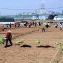 여가농장 이미지