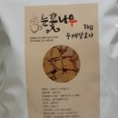 눈꽃나무 이미지
