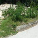 대각마을회관 이미지