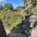 블루하와이리조트 이미지