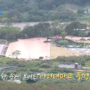 황매산미리내파크오토캠핑장 이미지