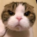 도일이네 | 3월 근황 보고 올립니다 (feat.도일 준비 벼락치기)