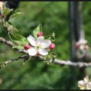 주일농장 이미지